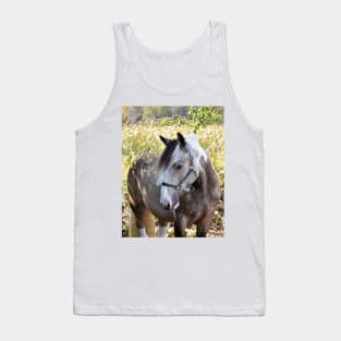 Drum horse Tank Top